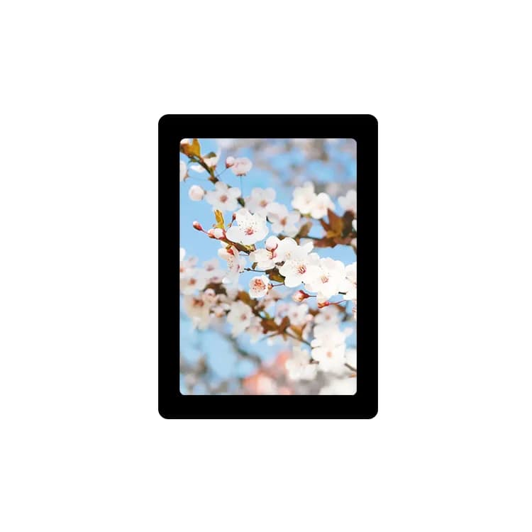 3.5" 480×640 TFT LCD, MIPI DSI (PJ3506G01-31H30P200C)